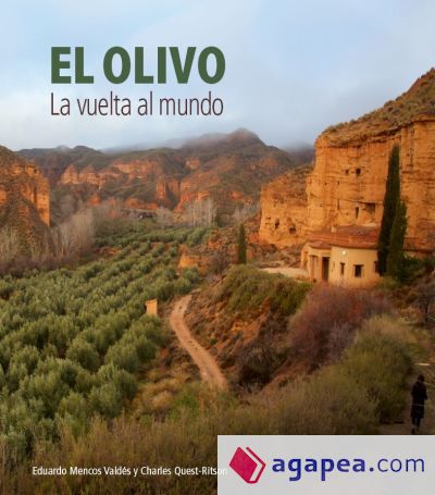 El olivo