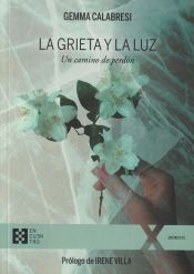 Portada de La grieta y la luz: Un camino de perdón