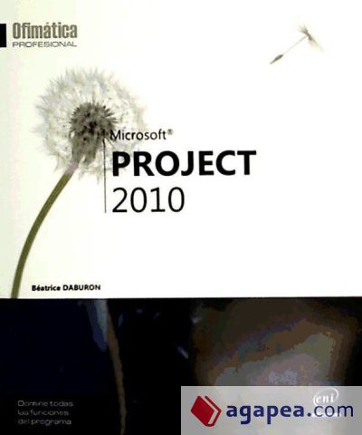 Project 2010