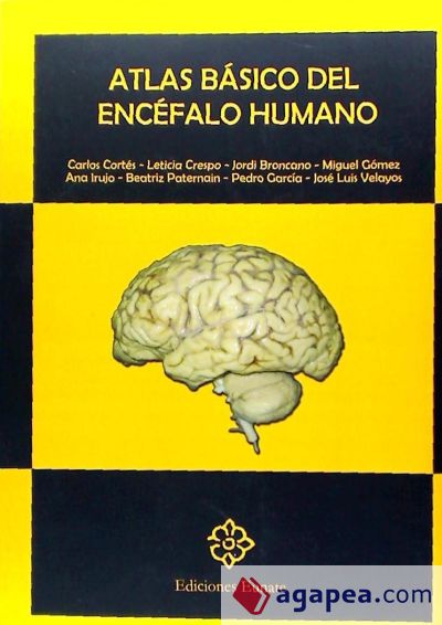 Atlas básico del encéfalo humano