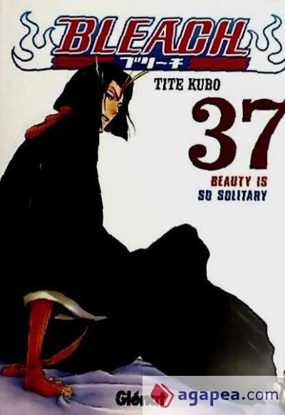 Bleach 37