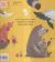 Contraportada de Contando bananas, de Carrie Tillotson