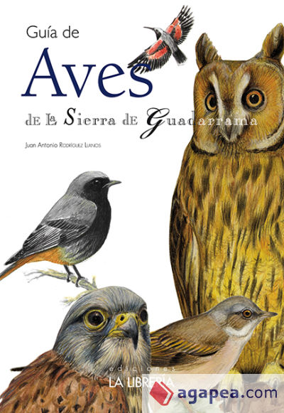 Guía de aves de la Sierra de Guadarrama