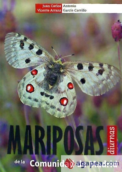 Mariposas diurnas de la comunidad de Madrid