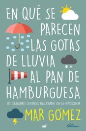 Portada de En qué se parecen las gotas de lluvia al pan de hamburguesa