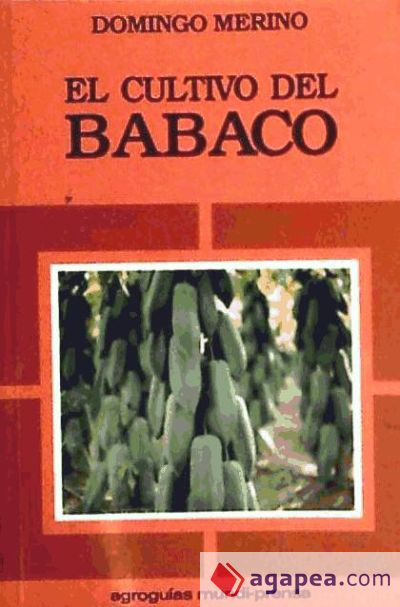 El cultivo del Babaco