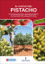 Portada de El cultivo del pistacho - 2ª edición, de José Francisco ... [et al.] Couceiro López