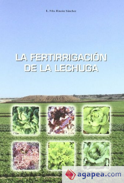 Fertirrigación de la lechuga, La