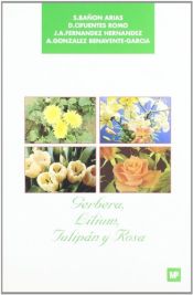 Portada de Gerbera , lilium, tulipán y rosa