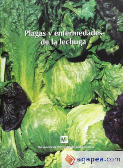 Plagas y enfermedades de la lechuga