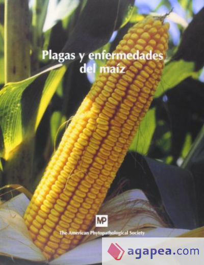 Plagas y enfermedades del maíz