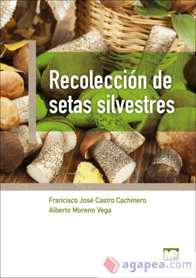 Recolección de setas silvestres