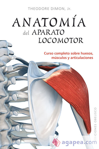 Anatomía del aparato locomotor