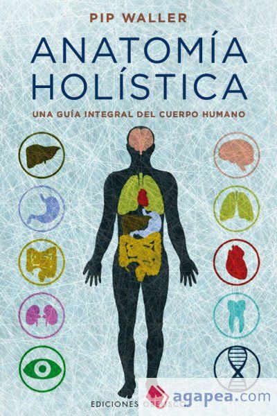 Anatomía holística Anatomía holística