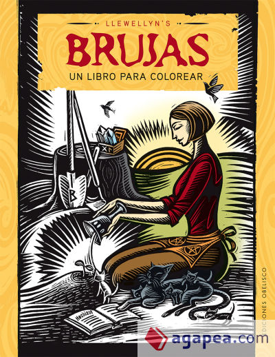 Brujas un libro para colorear/ Witch's Coloring Book