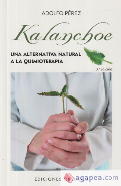 Kalanchoe (BOLSILLO)