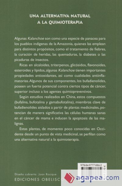 Kalanchoe (BOLSILLO)
