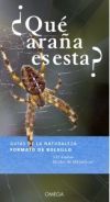 &iquest;qu&eacute; Ara&ntilde;a Es Esta?