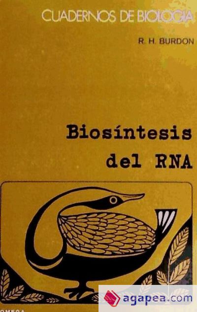 29. BIOSINTESIS DEL RNA