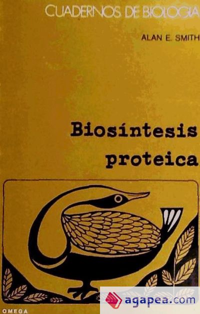 30. BIOSINTESIS PROTEICA