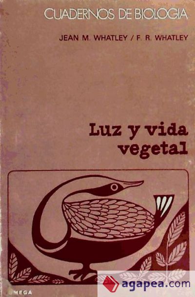 66. LUZ Y VIDA VEGETAL