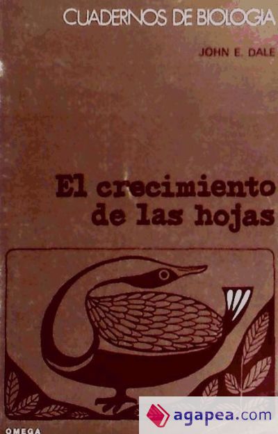 68. EL CRECIMIENTO DE LAS HOJAS