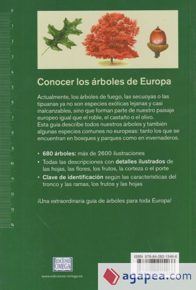 ARBOLES DE EUROPA.NUEVA GUIA DE CAMPO