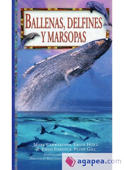BALLENAS, DELFINES Y MARSOPAS BALLENAS, DELFINES Y MARSOPAS