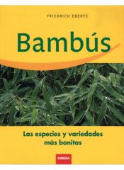 Portada de BAMBUS