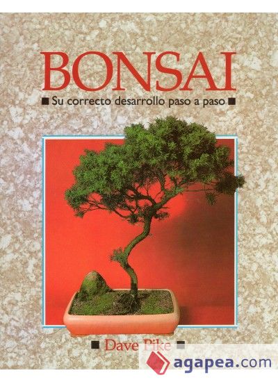 BONSAI. CORRECTO DESARROLLO PASO A PASO