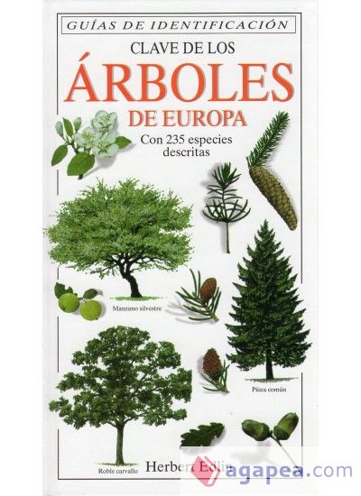 CLAVE DE LOS ARBOLES DE EUROPA