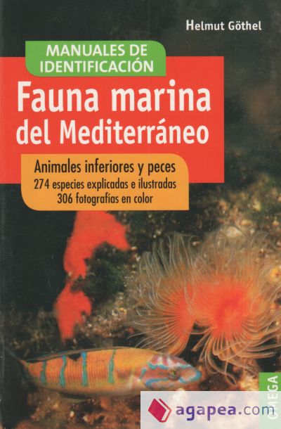 FAUNA MARINA DEL MEDITERRANEO