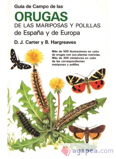 GUIA CAMPO ORUGAS DE MARIPOSAS Y POLILL