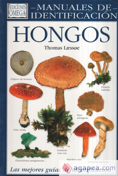 HONGOS. MANUAL DE IDENTIFICACION