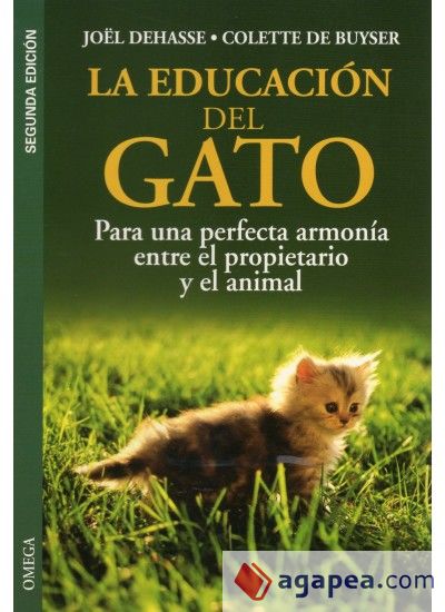 LA EDUCACION DEL GATO