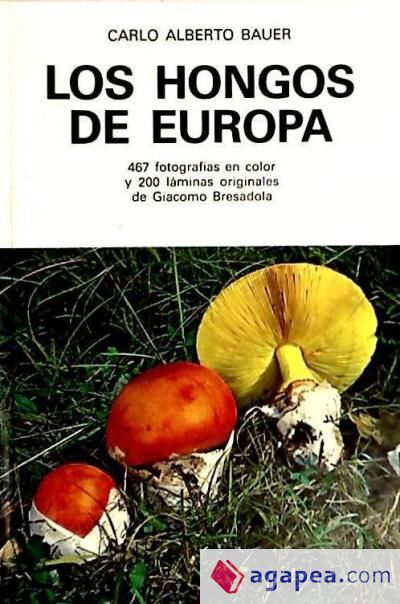 LOS HONGOS DE EUROPA