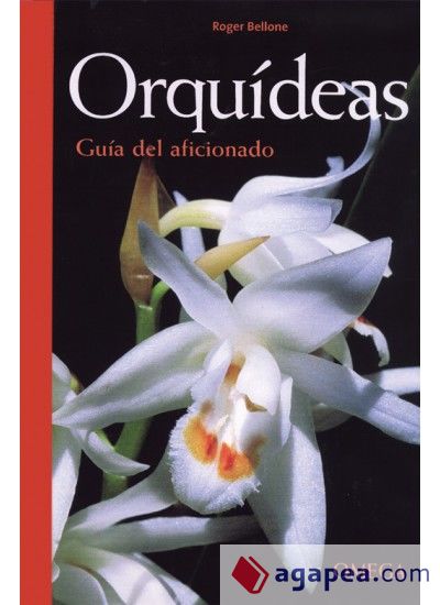 ORQUIDEAS. GUIA DEL AFICIONADO