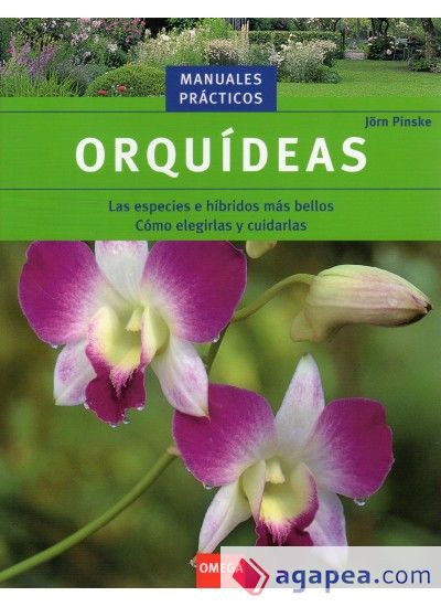 ORQUIDEAS