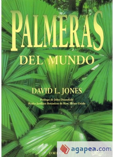 PALMERAS DEL MUNDO