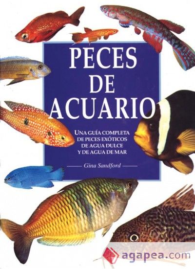 PECES DE ACUARIO. (GRAN FORMATO)