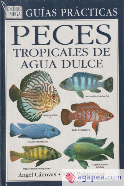 PECES TROPICALES DE AGUA DULCE