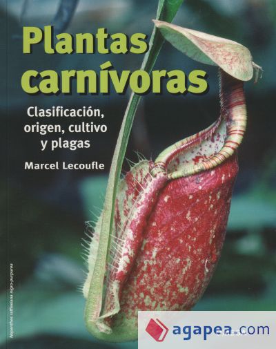 PLANTAS CARNIVORAS