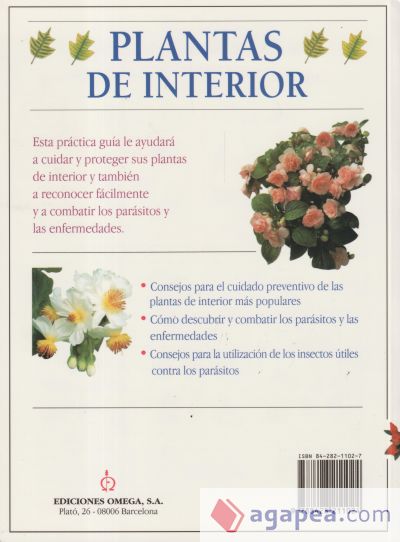 PLANTAS DE INTERIOR