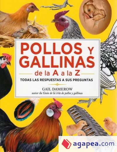 POLLOS Y GALLINAS DE LA A A LA Z