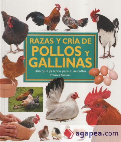 RAZAS Y CRIA DE POLLOS Y GALLINAS