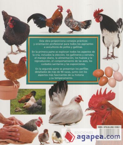 RAZAS Y CRIA DE POLLOS Y GALLINAS