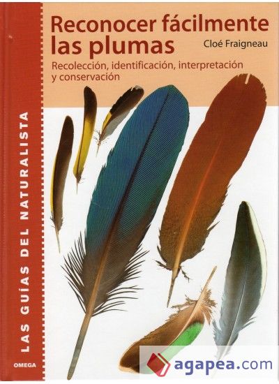 RECONOCER FACILMENTE LAS PLUMAS