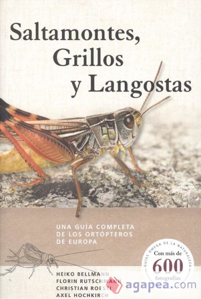 Saltamontes, grilllos y langosta: Una guía completa de los ortópteros de Europa