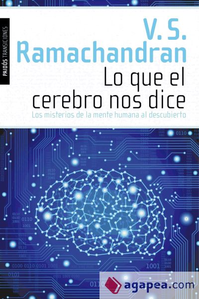 Lo que el cerebro nos dice