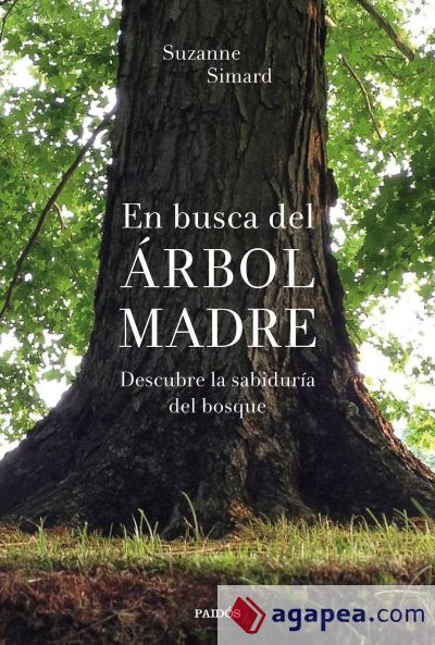 En busca del Árbol Madre: descubre la sabiduría del bosque